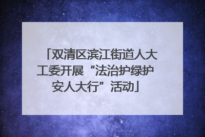 双清区滨江街道人大工委开展“法治护绿护安人大行”活动