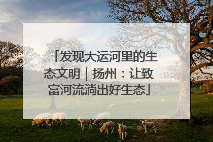 发现大运河里的生态文明｜扬州：让致富河流淌出好生态