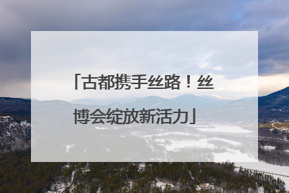 古都携手丝路！丝博会绽放新活力
