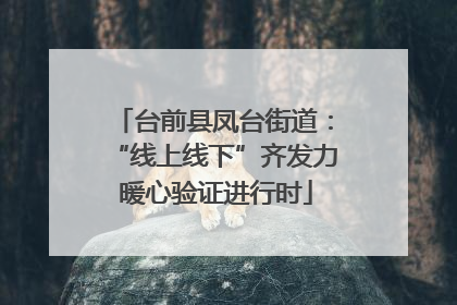 台前县凤台街道：“线上线下”齐发力 暖心验证进行时