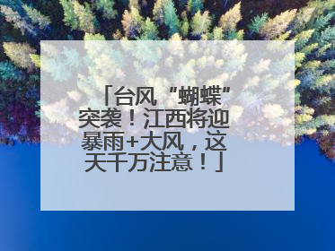台风“蝴蝶”突袭！江西将迎暴雨+大风，这天千万注意！