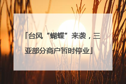 台风“蝴蝶”来袭，三亚部分商户暂时停业