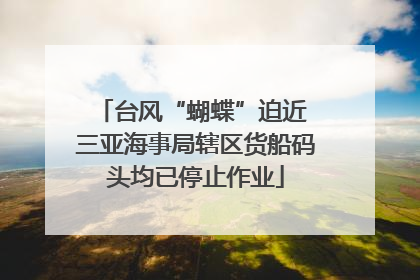 台风“蝴蝶”迫近 三亚海事局辖区货船码头均已停止作业