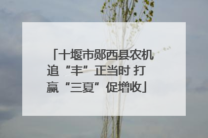 十堰市郧西县农机追“丰”正当时 打赢“三夏”促增收