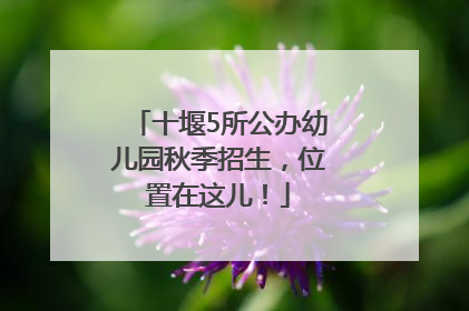 十堰5所公办幼儿园秋季招生，位置在这儿！