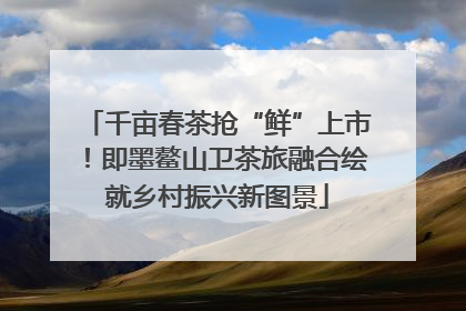 千亩春茶抢“鲜”上市！即墨鳌山卫茶旅融合绘就乡村振兴新图景