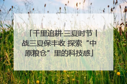 千里追耕·三夏时节丨战三夏保丰收 探索“中原粮仓”里的科技感