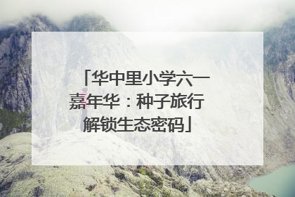 华中里小学六一嘉年华：种子旅行解锁生态密码
