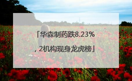 华森制药跌8.23%，2机构现身龙虎榜
