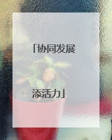 协同发展添活力