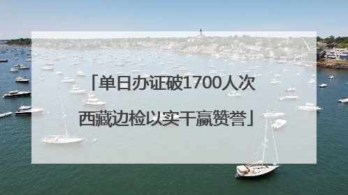 单日办证破1700人次 西藏边检以实干赢赞誉