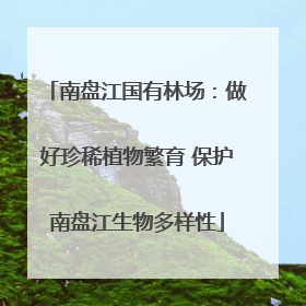 南盘江国有林场：做好珍稀植物繁育 保护南盘江生物多样性