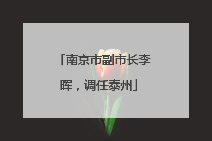 南京市副市长李晖，调任泰州