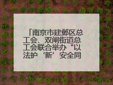 南京市建邺区总工会、双闸街道总工会联合举办“以法护‘新’安全同行”暨劳模宣讲进工地服务活动