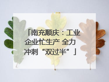 南充顺庆：工业企业忙生产 全力冲刺“双过半”