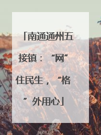 南通通州五接镇：“网”住民生，“格”外用心