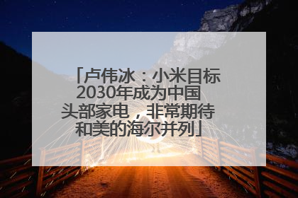 卢伟冰：小米目标2030年成为中国头部家电，非常期待和美的海尔并列