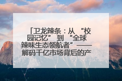 卫龙辣条：从 “校园记忆” 到 “全球辣味生态领航者”——解码千亿市场背后的产品创新与全链路破圈