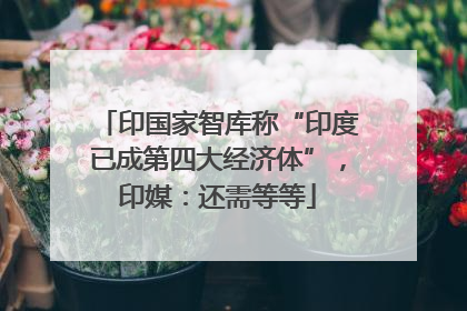 印国家智库称“印度已成第四大经济体”，印媒：还需等等