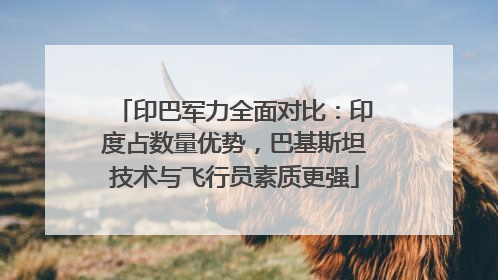 印巴军力全面对比：印度占数量优势，巴基斯坦技术与飞行员素质更强