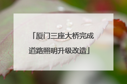 厦门三座大桥完成道路照明升级改造