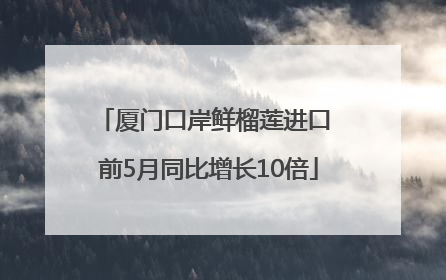 厦门口岸鲜榴莲进口 前5月同比增长10倍