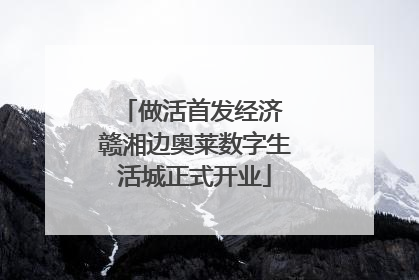 做活首发经济 赣湘边奥莱数字生活城正式开业