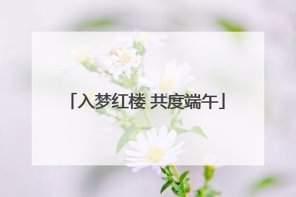 入梦红楼 共度端午
