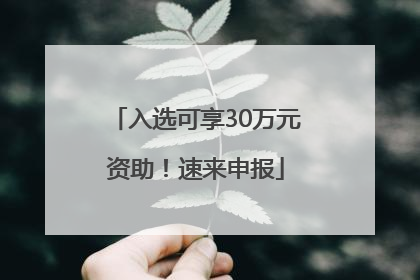 入选可享30万元资助！速来申报