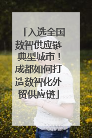入选全国数智供应链典型城市！成都如何打造数智化外贸供应链