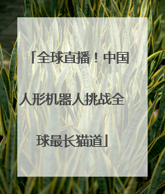 全球直播！中国人形机器人挑战全球最长猫道