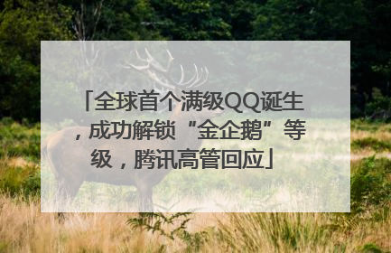 全球首个满级QQ诞生，成功解锁“金企鹅”等级，腾讯高管回应