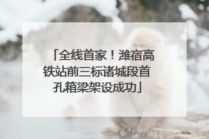 全线首家！潍宿高铁站前三标诸城段首孔箱梁架设成功