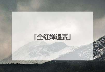 全红婵退赛