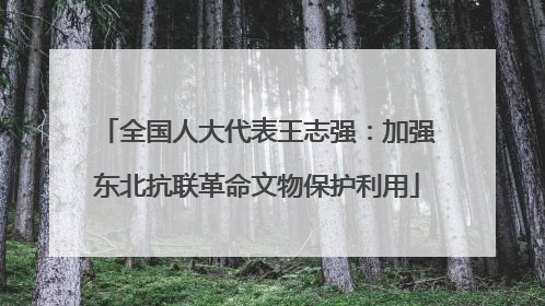 全国人大代表王志强：加强东北抗联革命文物保护利用