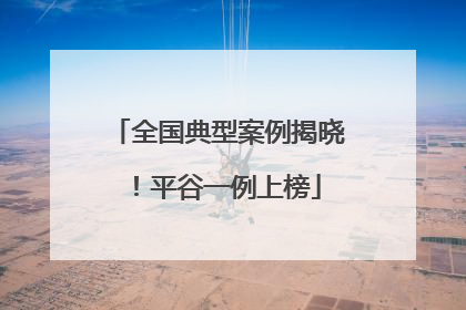 全国典型案例揭晓！平谷一例上榜
