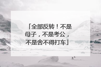 全部反转！不是母子，不是考公，不是舍不得打车