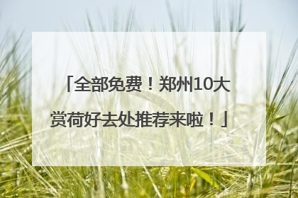 全部免费！郑州10大赏荷好去处推荐来啦！