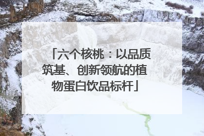 六个核桃：以品质筑基、创新领航的植物蛋白饮品标杆