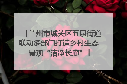 兰州市城关区五泉街道联动多部门打造乡村生态景观“洁净长廊”
