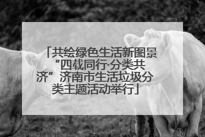 共绘绿色生活新图景 “四载同行·分类共济”济南市生活垃圾分类主题活动举行