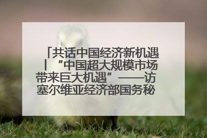 共话中国经济新机遇丨“中国超大规模市场带来巨大机遇”——访塞尔维亚经济部国务秘书尼科利奇
