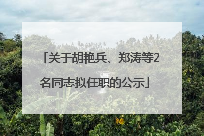 关于胡艳兵、郑涛等2名同志拟任职的公示