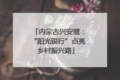 内蒙古兴安盟：“阳光银行”点亮乡村振兴路
