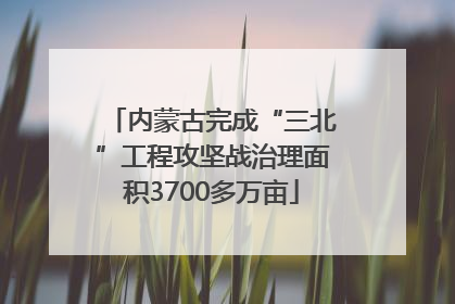 内蒙古完成“三北”工程攻坚战治理面积3700多万亩