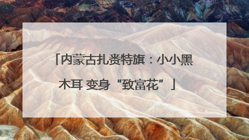 内蒙古扎赉特旗：小小黑木耳 变身“致富花”