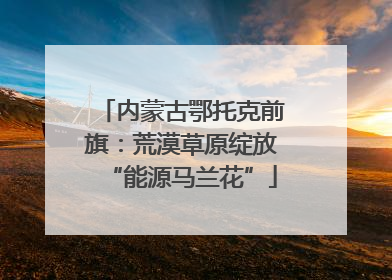 内蒙古鄂托克前旗：荒漠草原绽放“能源马兰花”