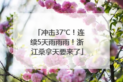 冲击37℃！连续5天雨雨雨！浙江桑拿天要来了