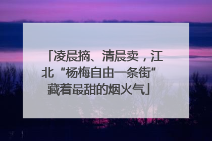 凌晨摘、清晨卖，江北“杨梅自由一条街”藏着最甜的烟火气