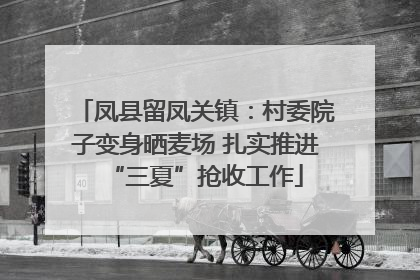 凤县留凤关镇：村委院子变身晒麦场 扎实推进“三夏”抢收工作